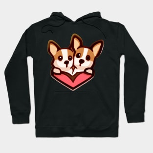 Two corgi dogs love Hoodie